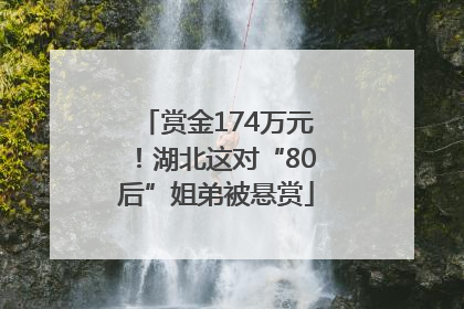 赏金174万元！湖北这对“80后”姐弟被悬赏