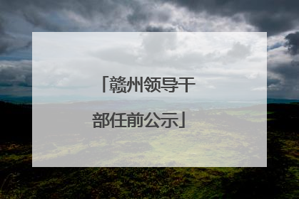 赣州领导干部任前公示