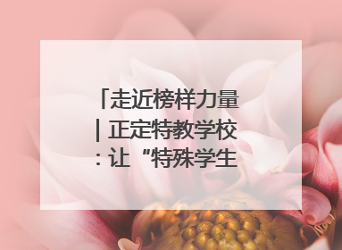 走近榜样力量｜正定特教学校：让“特殊学生”不再特殊