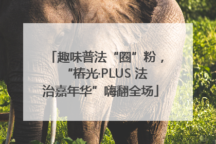 趣味普法“圈”粉，“椿光·PLUS 法治嘉年华”嗨翻全场