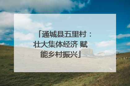 通城县五里村：壮大集体经济 赋能乡村振兴