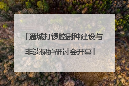 通城打锣腔剧种建设与非遗保护研讨会开幕