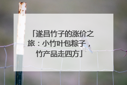 遂昌竹子的涨价之旅：小竹叶包粽子，竹产品走四方