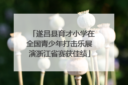 遂昌县育才小学在全国青少年打击乐展演浙江省赛获佳绩