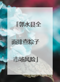 邻水县全面排查粽子市场风险