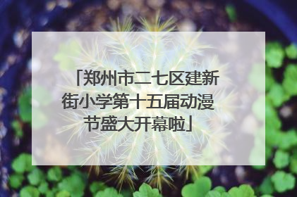 郑州市二七区建新街小学第十五届动漫节盛大开幕啦