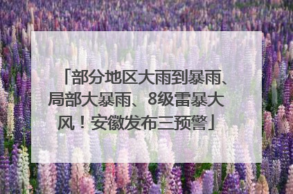 部分地区大雨到暴雨、局部大暴雨、8级雷暴大风！安徽发布三预警