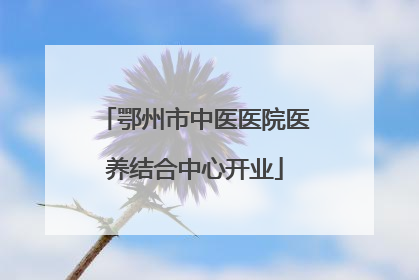 鄂州市中医医院医养结合中心开业