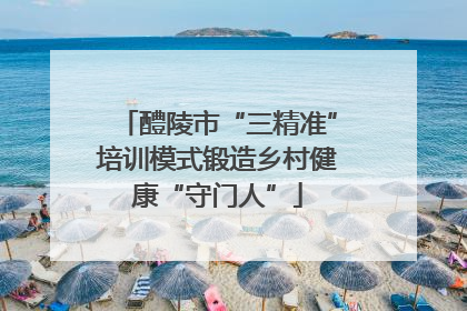 醴陵市“三精准”培训模式锻造乡村健康“守门人”