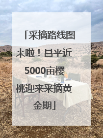 采摘路线图来啦！昌平近5000亩樱桃迎来采摘黄金期