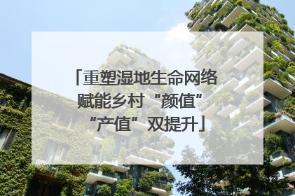 重塑湿地生命网络 赋能乡村“颜值”“产值”双提升