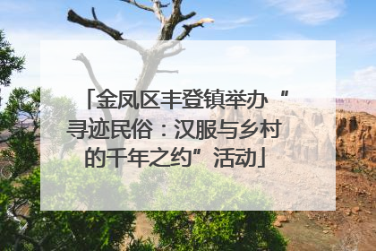 金凤区丰登镇举办“寻迹民俗：汉服与乡村的千年之约”活动