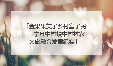金果果美了乡村富了民——宁县中村镇中村村农文旅融合发展纪实