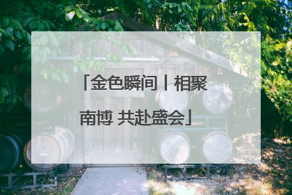 金色瞬间丨相聚南博 共赴盛会