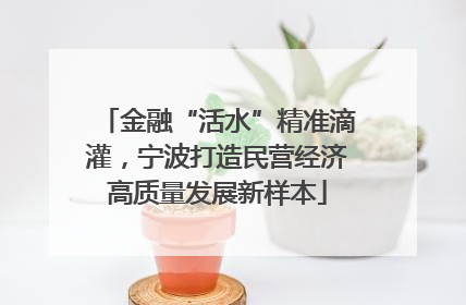 金融“活水”精准滴灌，宁波打造民营经济高质量发展新样本