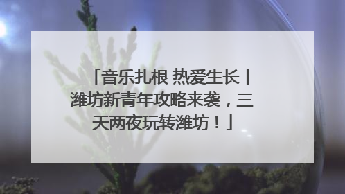 音乐扎根 热爱生长丨潍坊新青年攻略来袭，三天两夜玩转潍坊！