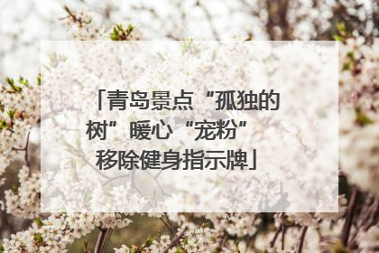 青岛景点“孤独的树”暖心“宠粉” 移除健身指示牌