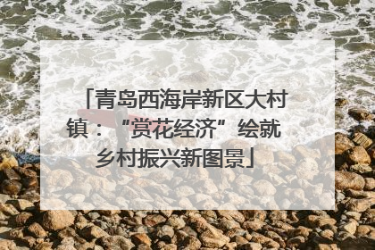 青岛西海岸新区大村镇：“赏花经济”绘就乡村振兴新图景
