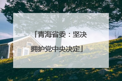 青海省委：坚决拥护党中央决定
