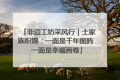 非遗工坊采风行｜土家族织锦：一面是千年图腾 一面是幸福画卷