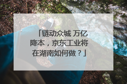 链动众城 万亿降本，京东工业将在湖南如何做？
