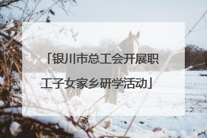 银川市总工会开展职工子女家乡研学活动