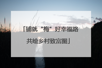 铺就“梅”好幸福路 共绘乡村致富图