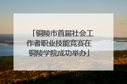 铜陵市首届社会工作者职业技能竞赛在铜陵学院成功举办