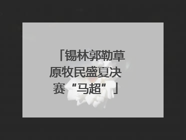 锡林郭勒草原牧民盛夏决赛“马超”