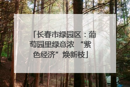 长春市绿园区：葡萄园里绿意浓 “紫色经济”焕新枝