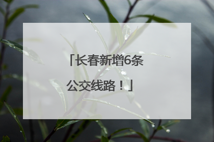 长春新增6条公交线路！