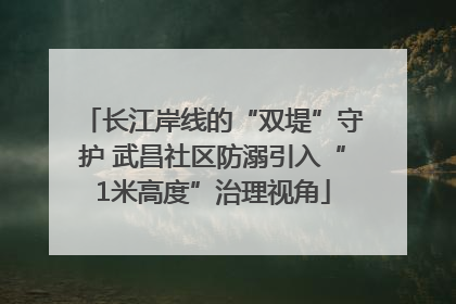 长江岸线的“双堤”守护 武昌社区防溺引入“1米高度”治理视角
