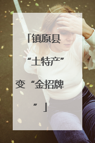 镇原县 “土特产”变“金招牌”