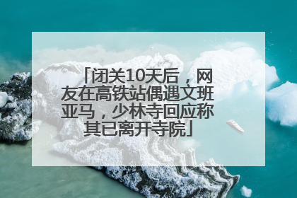 闭关10天后，网友在高铁站偶遇文班亚马，少林寺回应称其已离开寺院