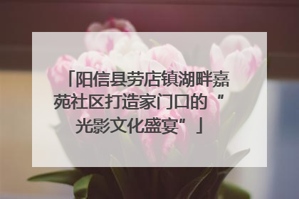 阳信县劳店镇湖畔嘉苑社区打造家门口的“光影文化盛宴”
