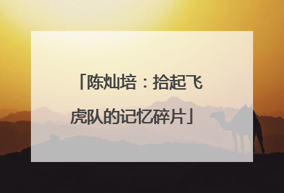 陈灿培：拾起飞虎队的记忆碎片