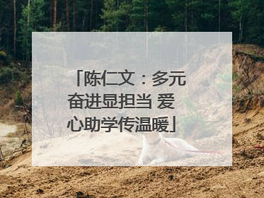 陈仁文：多元奋进显担当 爱心助学传温暖