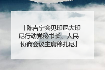 陈吉宁会见印尼大印尼行动党秘书长、人民协商会议主席穆扎尼