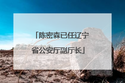陈密森已任辽宁省公安厅副厅长