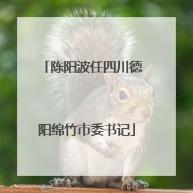 陈阳波任四川德阳绵竹市委书记