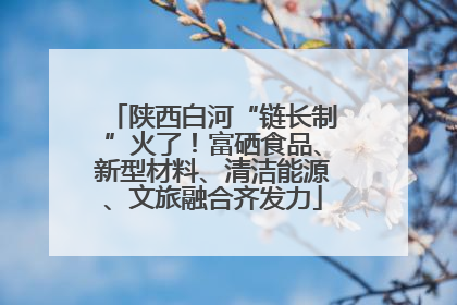 陕西白河“链长制”火了！富硒食品、新型材料、清洁能源、文旅融合齐发力