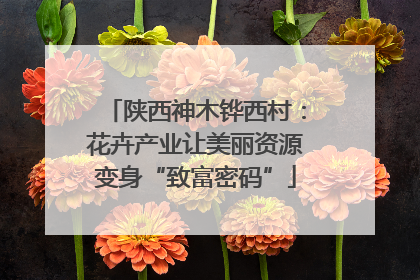 陕西神木铧西村：花卉产业让美丽资源变身“致富密码”