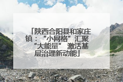 陕西合阳县和家庄镇：“小网格”汇聚“大能量” 激活基层治理新动能