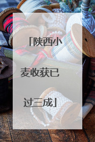 陕西小麦收获已过三成