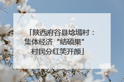 陕西府谷县埝墕村：集体经济“结硕果” 村民分红笑开颜