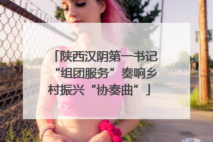 陕西汉阴第一书记“组团服务”奏响乡村振兴“协奏曲”