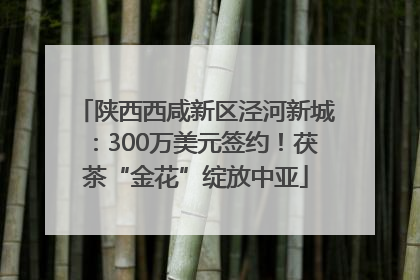 陕西西咸新区泾河新城：300万美元签约！茯茶“金花”绽放中亚