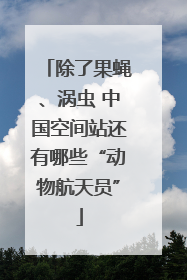 除了果蝇、涡虫 中国空间站还有哪些“动物航天员”