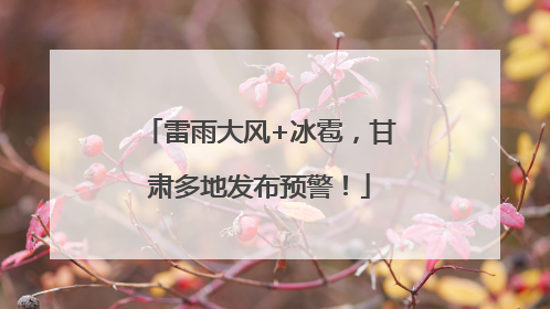 雷雨大风+冰雹，甘肃多地发布预警！