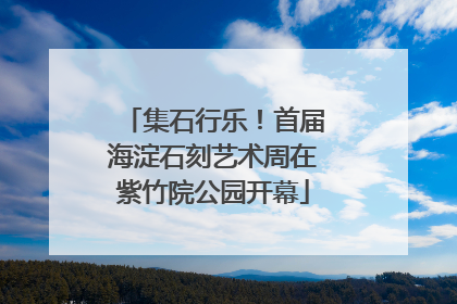集石行乐！首届海淀石刻艺术周在紫竹院公园开幕